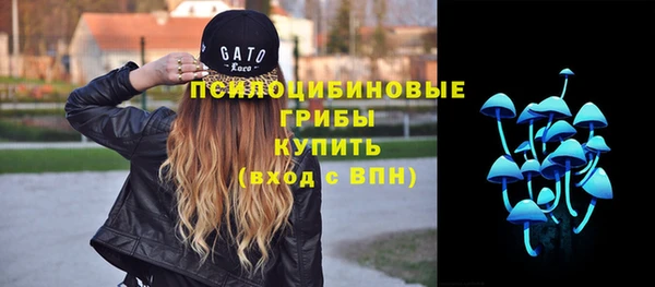 герыч Алзамай