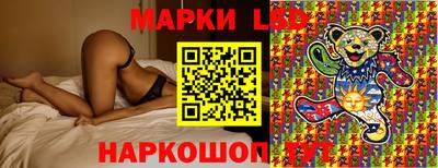 мдма Кингисепп